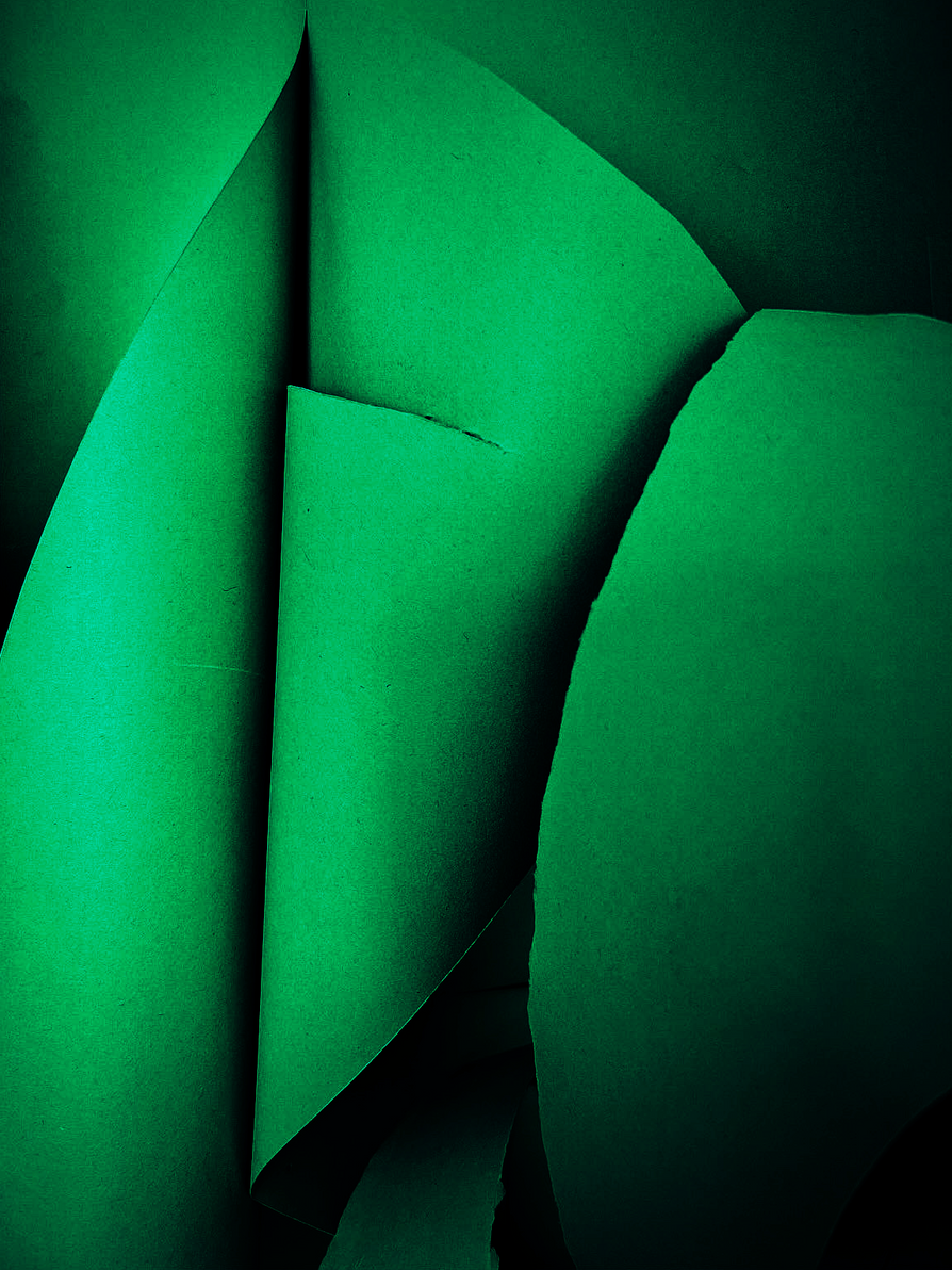 Gina Cross Abstract green prints on paper