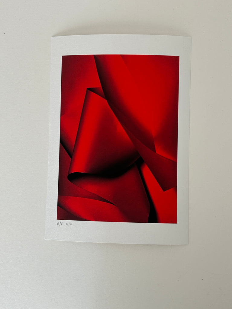 Gina Cross Sculptural Movements in Scarlet Artist Proofs