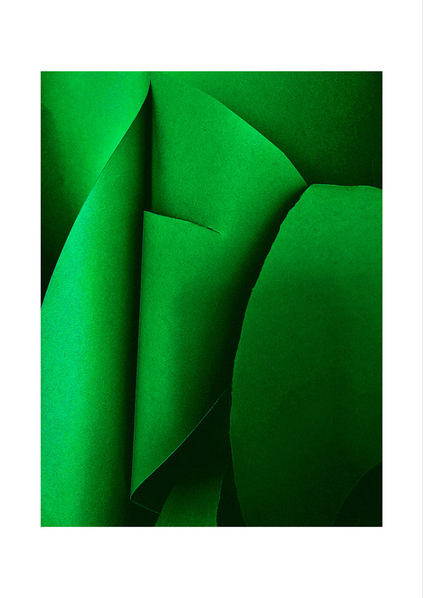 Gina Cross - Sculptural Movements in Green