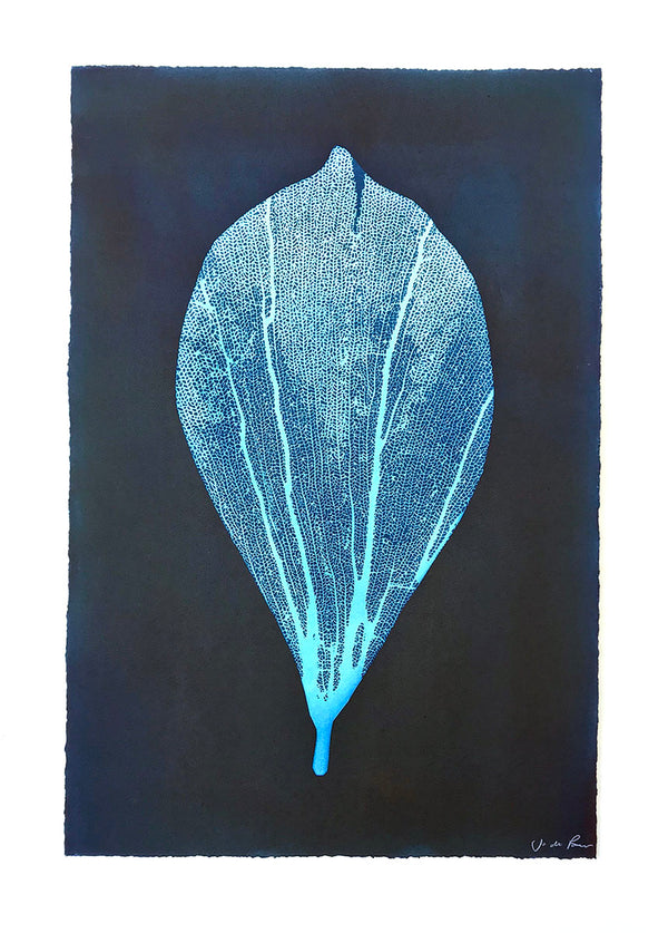 Jo de Pear - Almond Leaf unframed