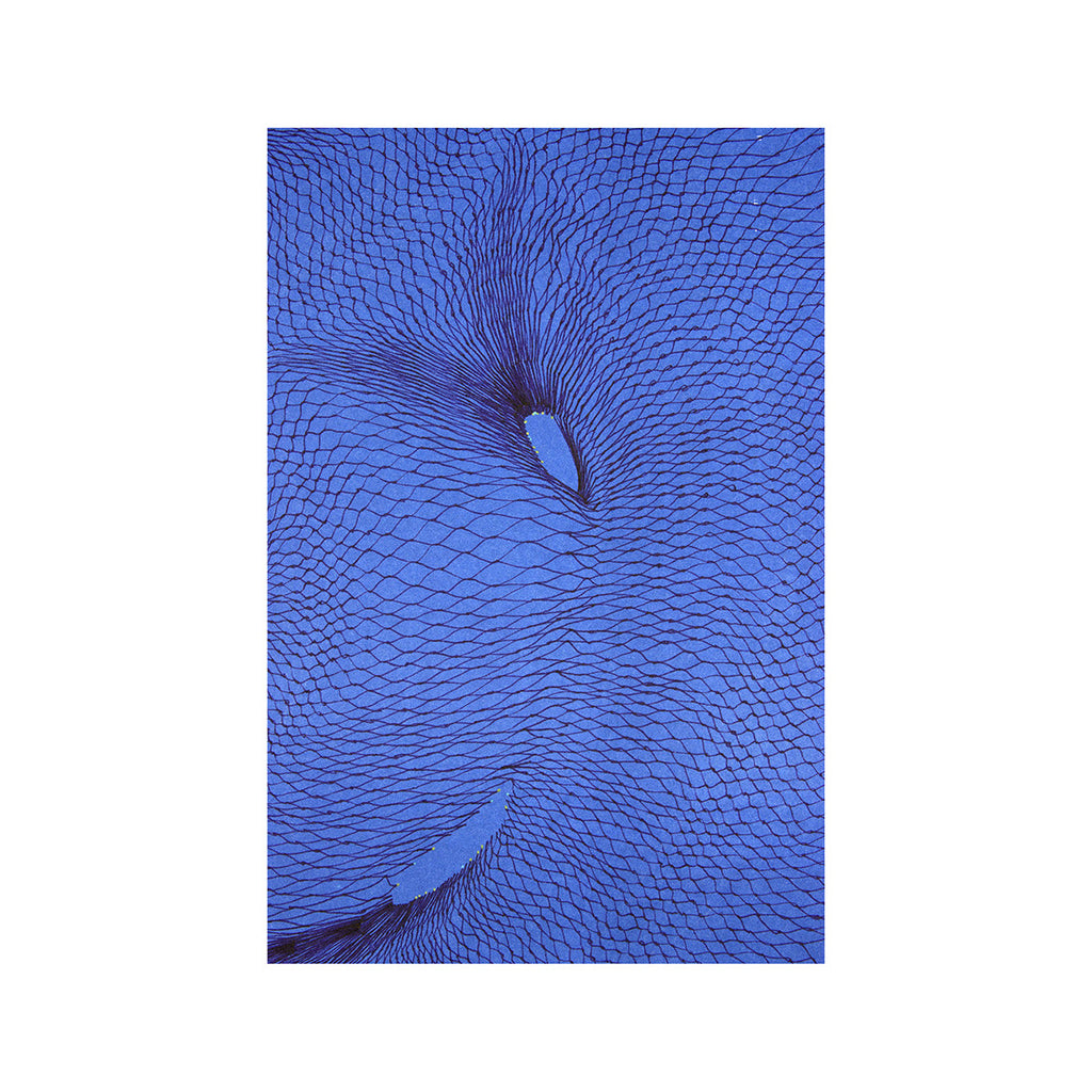 Natalie Ryde - Blue Floating Form M Theory - 2016