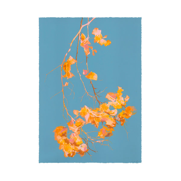 Jo de Pear Bougainvillea  colourful screen prints