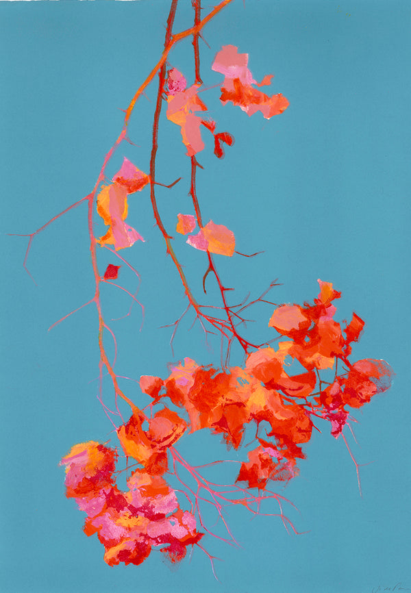 Jo de Pear Bougainvillea  colourful screen prints