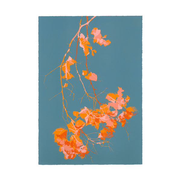 Jo de Pear Bougainvillea  colourful screen prints