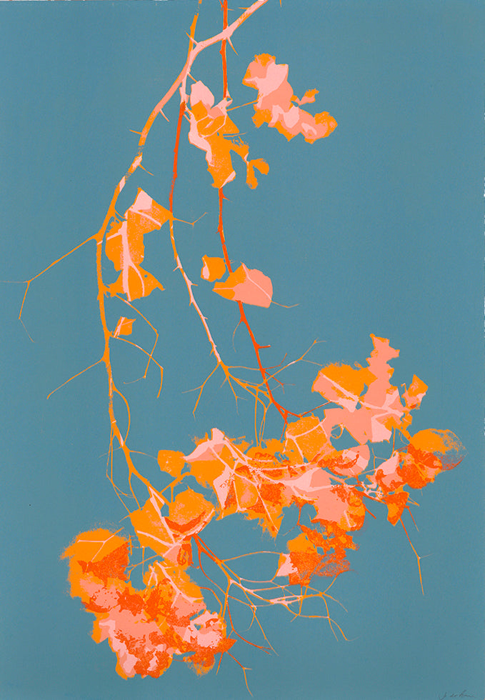 Jo de Pear Bougainvillea  colourful screen prints