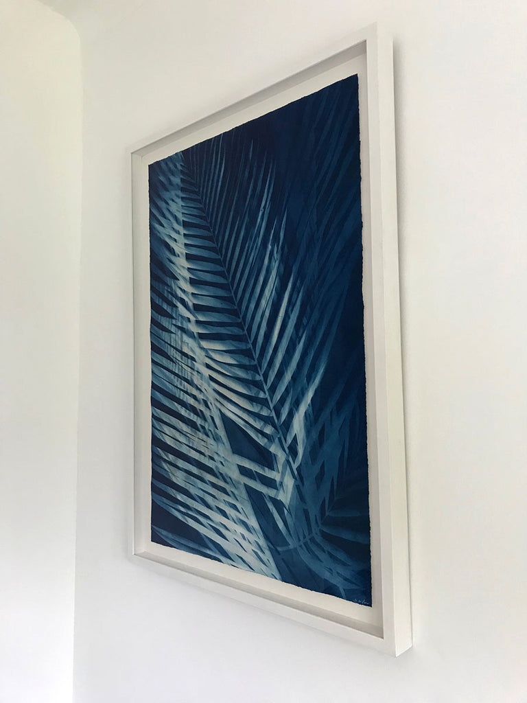 Coconut Palm I - framed by Jo de Pear at Gas Gallery
