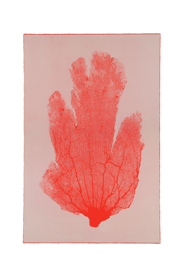 Jo de Pear - Sea Fan (red) - extra large