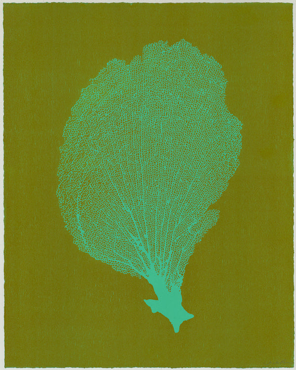 Jo de Pear :  Sea Fan 5:  Moss on Turquoise