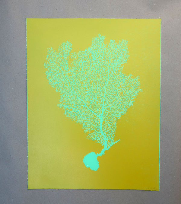 Jo de Pear :  Sea Fan 1: Light Green on Ochre