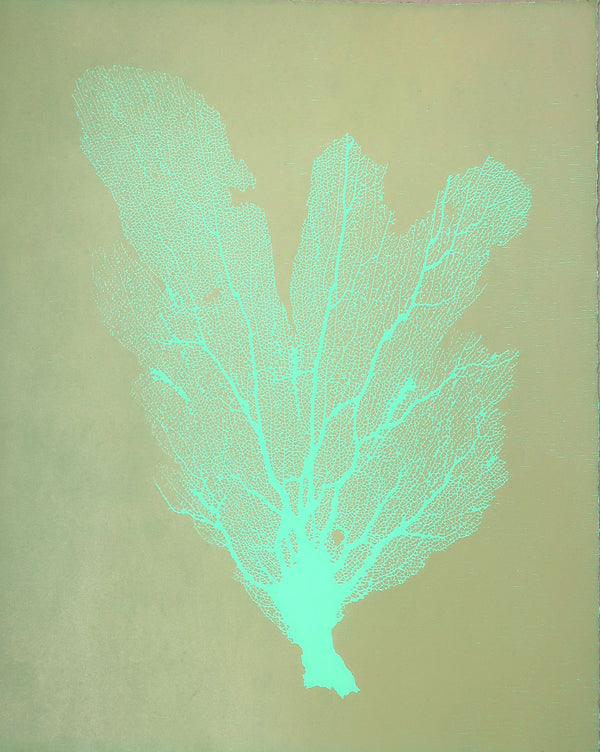 Jo de Pear :  Sea Fan 2:  Turquoise on Olive