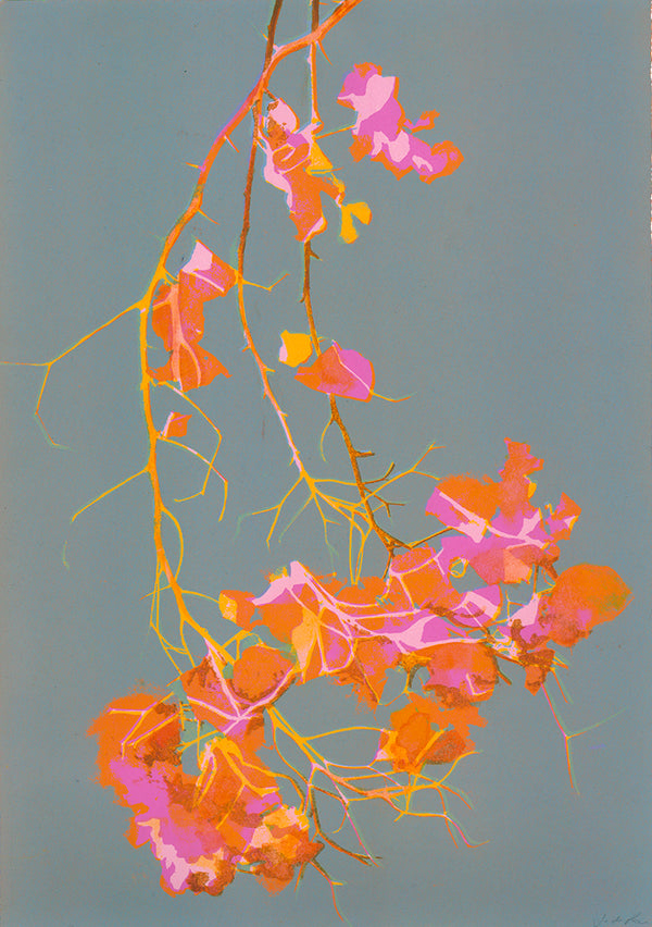 Jo de Pear Bougainvillea  colourful screen prints