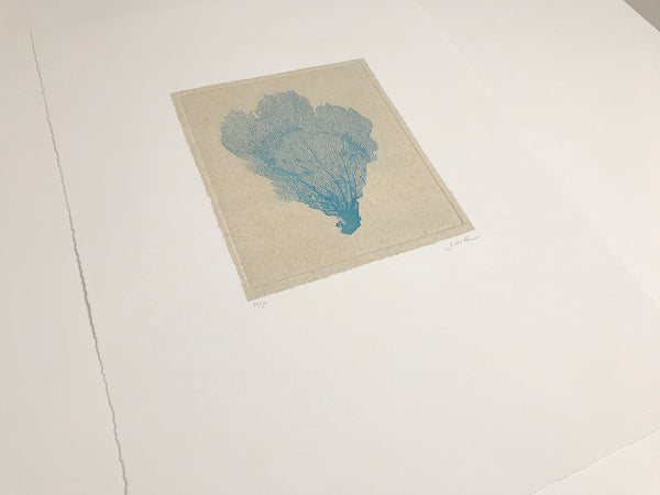 Jo de Pear - Sea Fan Etching II Blue on White