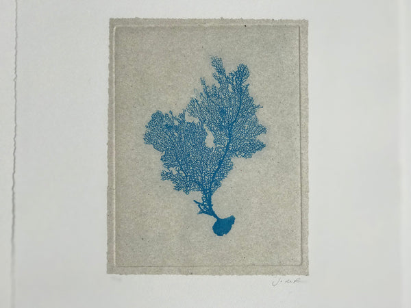 Jo de Pear - Sea Fan Etching I - Blue