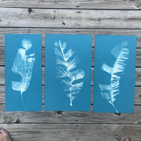 Jo de Pear - Banana Leaf Triptych