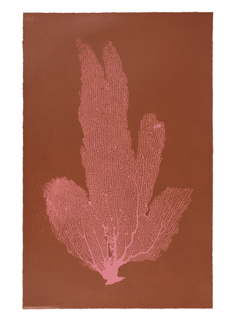 Jo de Pear Sea Fan Print