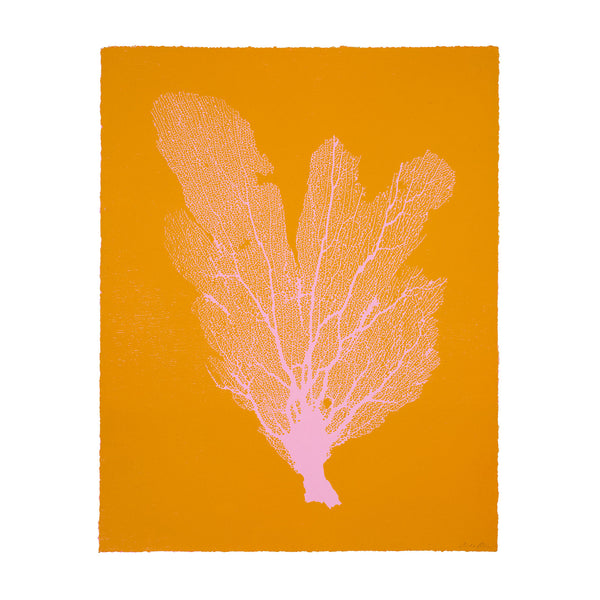 Jo de Pear :  Sea Fan 2:  Light Pink on Orange