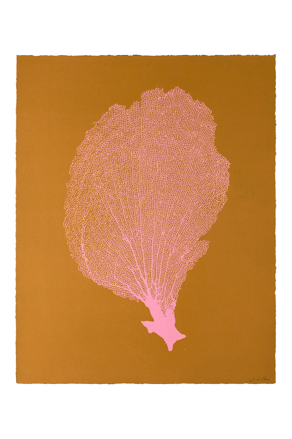 Jo de Pear :  Sea Fan VI - Turmeric/Pink