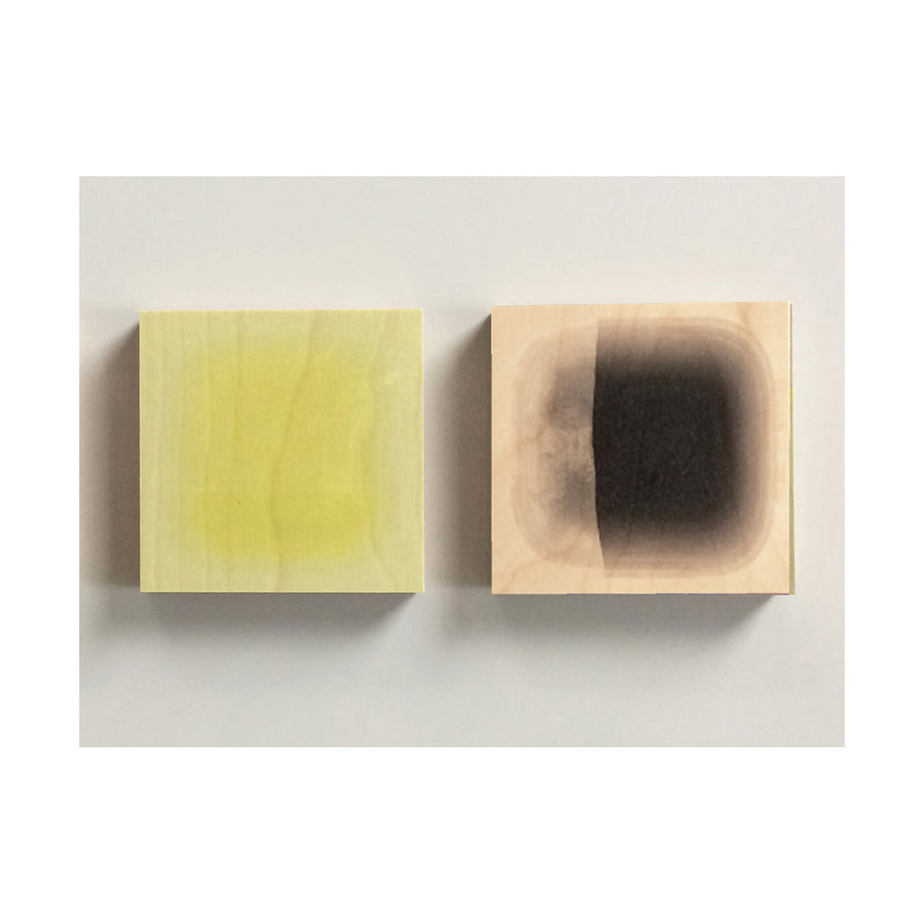 Sets of 2 Abstracts on Wood  - Christine Wilkinson