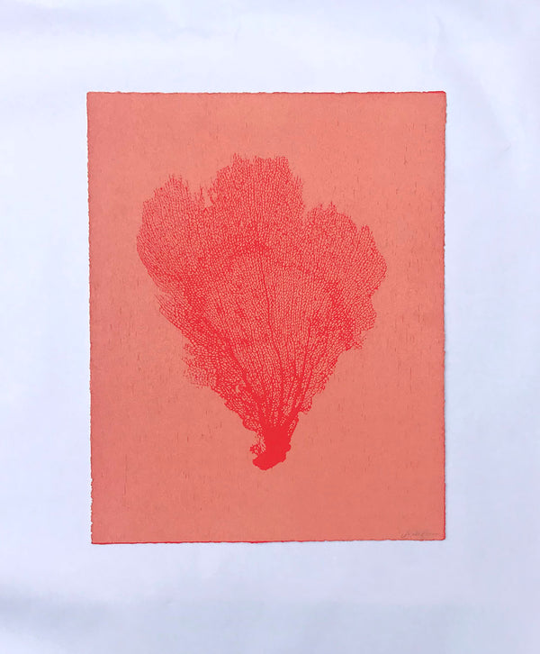 Jo de Pear :  Sea Fan 3: Red on Coral