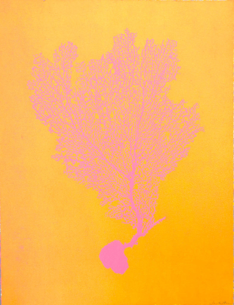 Rose on Orange Sea Fan Print by Jo de Pear
