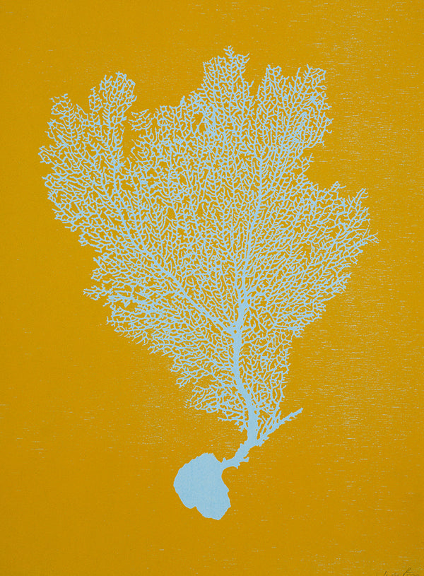 Jo de Pear :  Sea Fan 1: Sky Blue on Turmeric