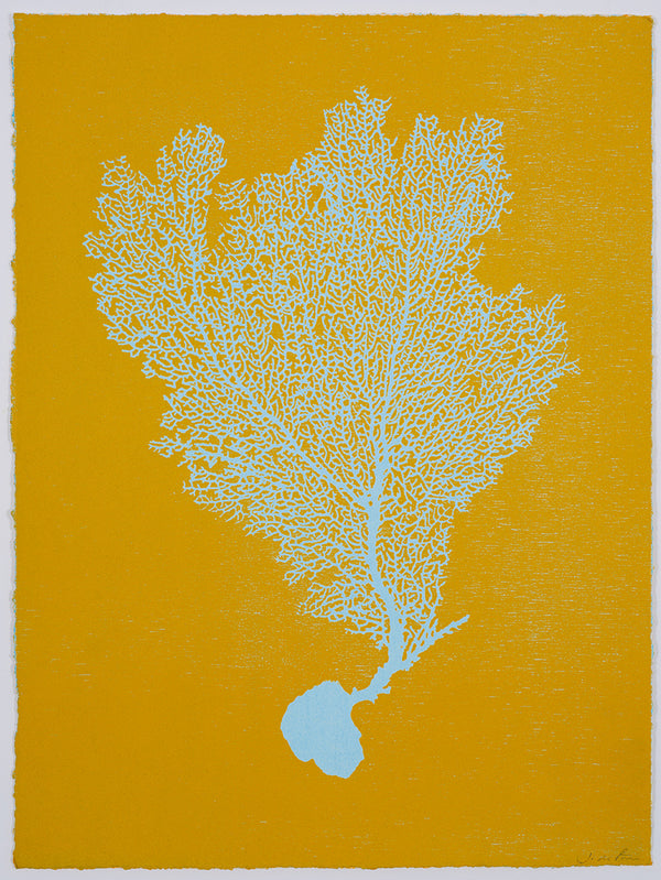 Jo de Pear :  Sea Fan 1: Sky Blue on Turmeric