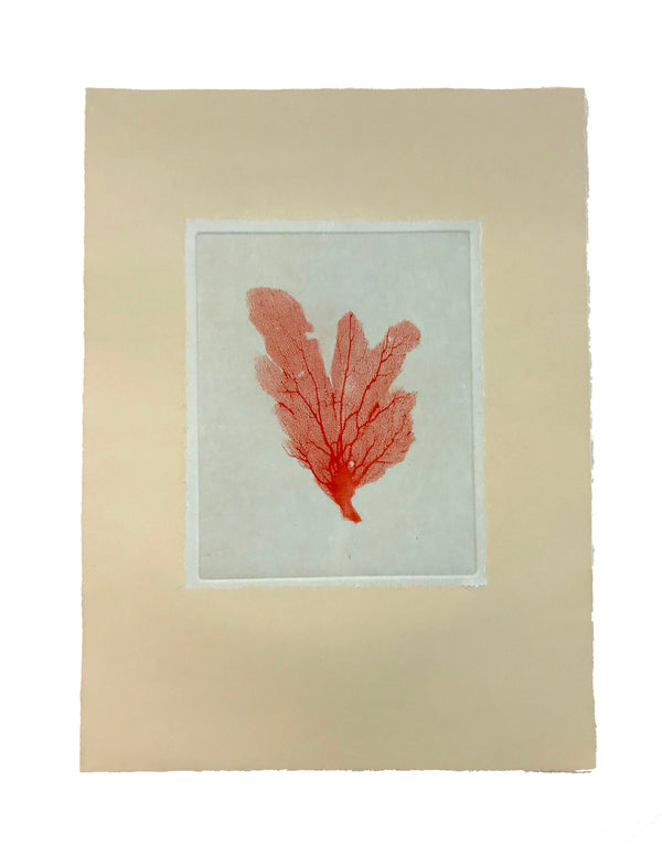 Jo de Pear - Sea Fan Etching III Red on Tan