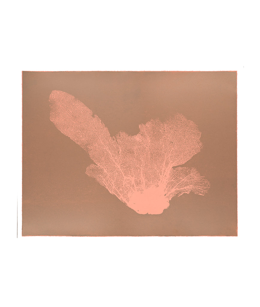 Jo de Pear - Sea Fan III- orange/pink