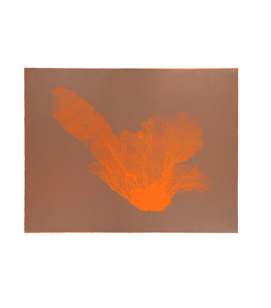 Jo de Pear - Sea Fan III - Tangerine Brown