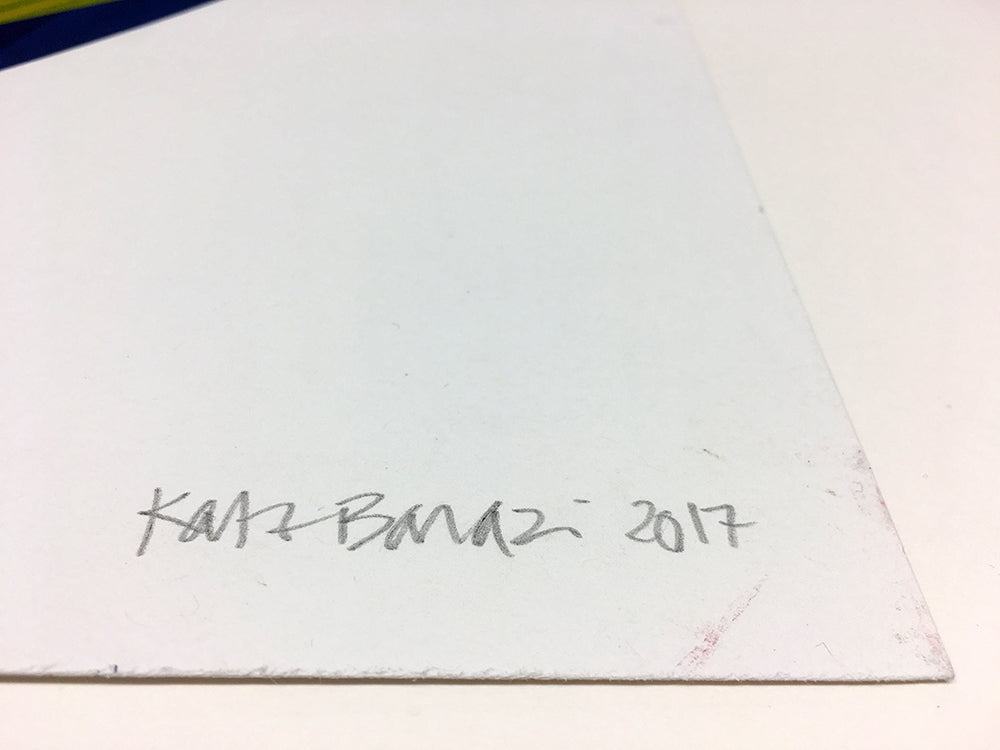 Kate Banazi - Spin #5- 2017