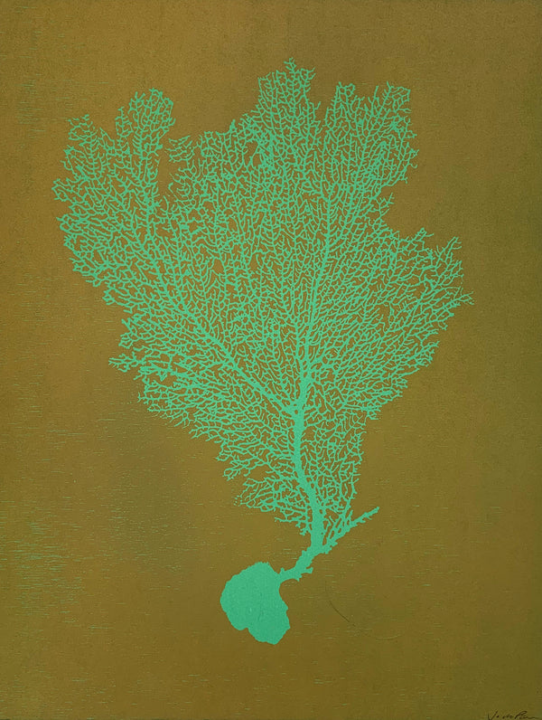 Jo de Pear colourful sea fan prints 