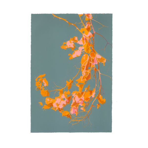 Jo de Pear Bougainvillea  colourful screen prints