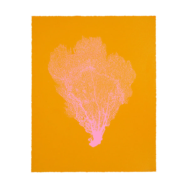 Jo de Pear :  Sea Fan 3: Light Pink on Orange