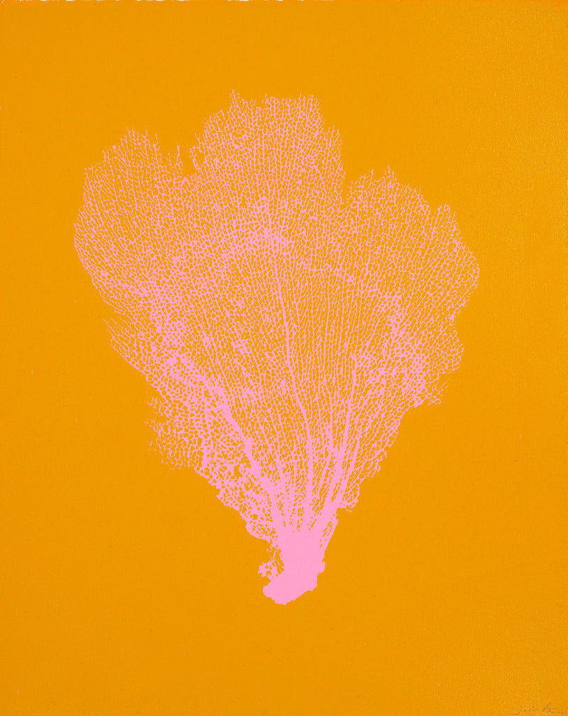 Jo de Pear :  Sea Fan 3: Light Pink on Orange
