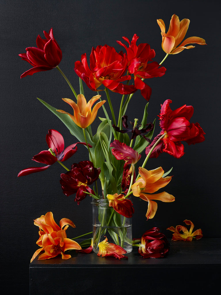 Kevin Dutton - Mixed Tulips 6