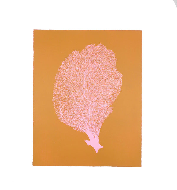 Jo de Pear Sea Fan prints at Gas Gallery London