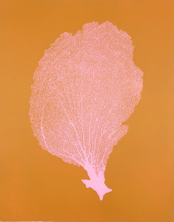 Jo de Pear Sea Fan prints at Gas Gallery London