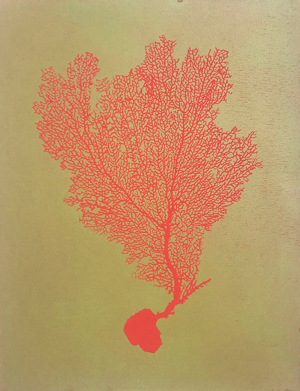 Jo de Pear :  Sea Fan 1: Red on Olive