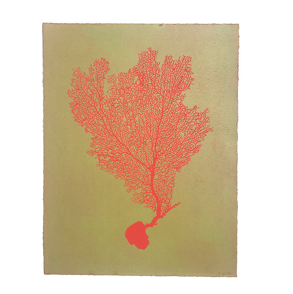 Jo de Pear :  Sea Fan 1: Red on Olive